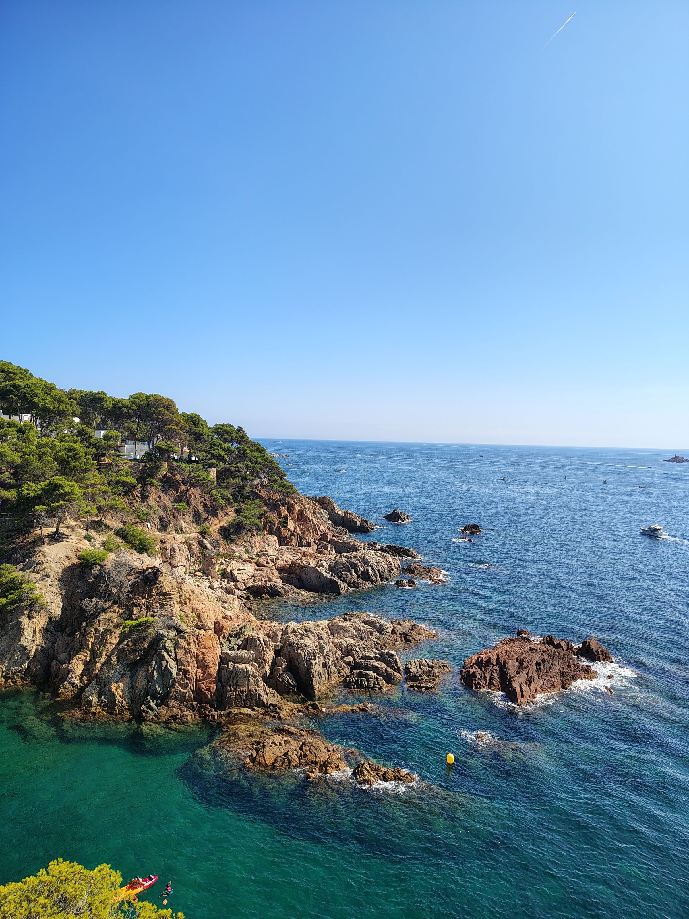 Mediterranean pines along the top of a rust-coloured rocky headland, clear shallow water below and open sea beyond