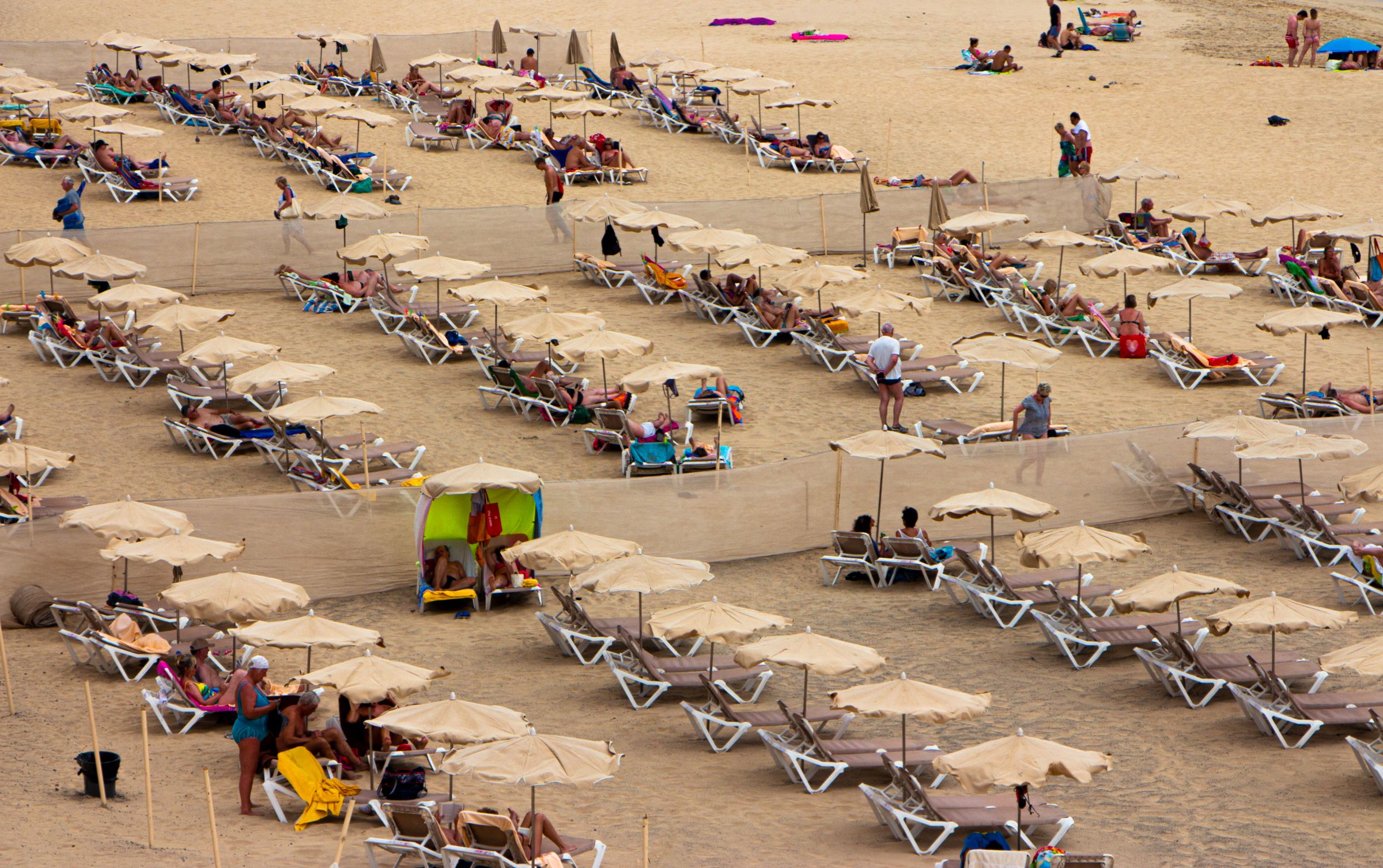 Dense rows of sun loungers under parasols laid out across a golden sand beach