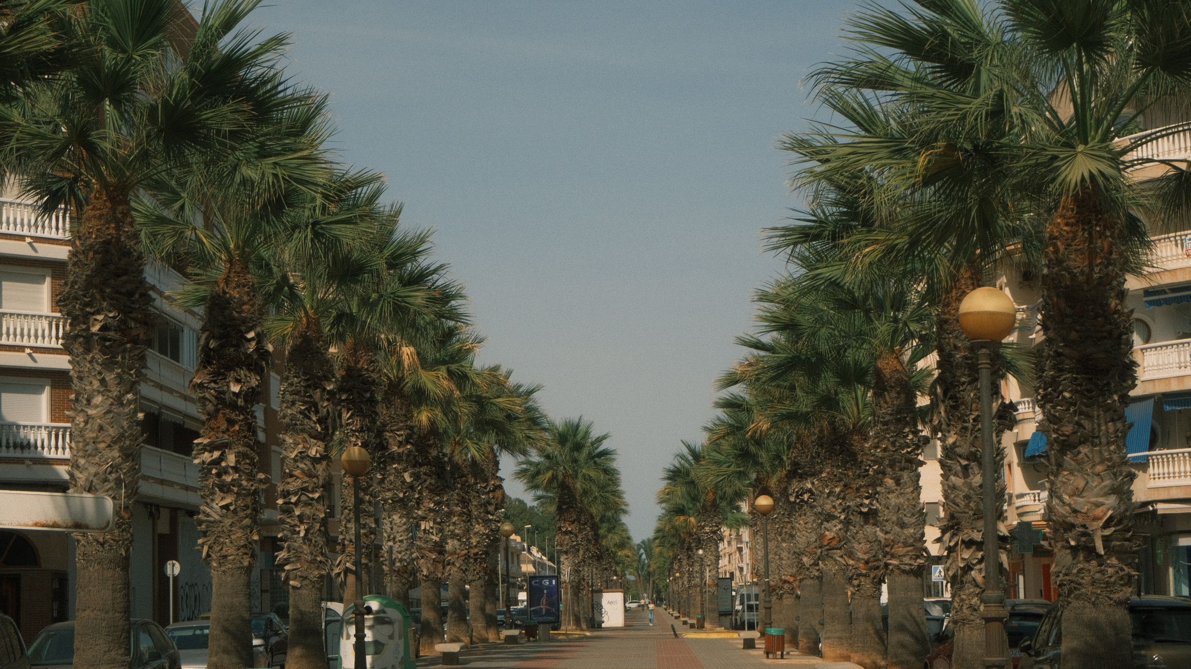 Palm-lined road running through a Mediterranean resort town under a clear sky